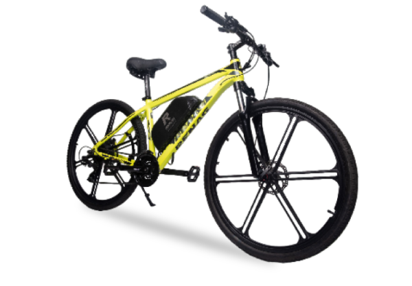 Electri Bike 1 (MVP)